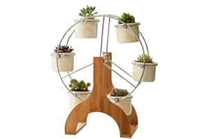 LINGLAN - Macetas para flores y plantas suculento de cerámica con Soporte (6 Unidades), Madera