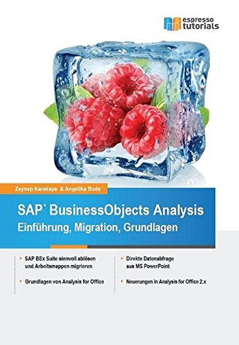 Download SAP BusinessObjects Analysis - Einführung, Migration, Grundlagen