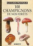 100 champignons de nos forêts