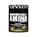 Produktbild AMINO ESSENCE von Warrior Labs, 30 Portionen (Ananas)