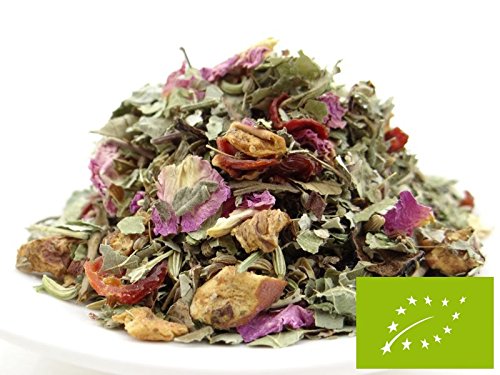 Preisvergleich Produktbild pikantum Bio Schietwettertee, kbA, 100g