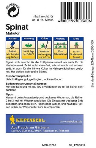 Kiepenkerl Spinat Matador - 2