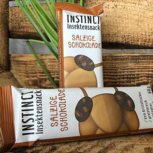 Preisvergleich Produktbild 12er BIO Insektenriegel aus Grillenmehl, Proteinriegel (Salzige Schokolade)