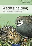 Image de Wachtelhaltung: Zucht - Ernährung - Vermarktung