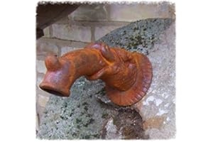 Antikas - Gargouille, bec de fontaine, poisson fabuleux pour fontaine murale, bec