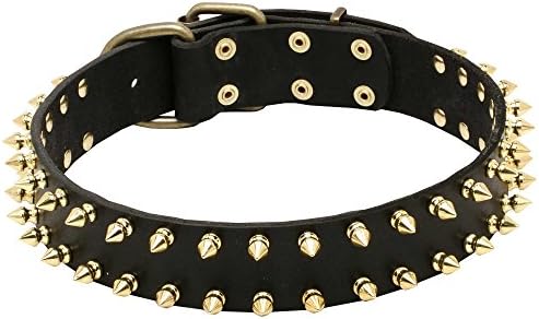 18 inch Walking Black Leather Dog Collar with Shiny Brass Spikes - "Unveiled Luxury" - 1 1/2 inch (40 mm) wide