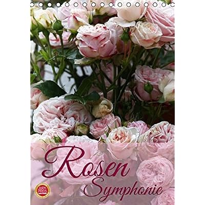 Rosen Symphonie (Tischkalender 2016 DIN A5 hoch)