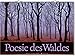 Wandkalender: Poesie des Waldes 2019. Vierfarbig, Format 70 x 50 cm by 