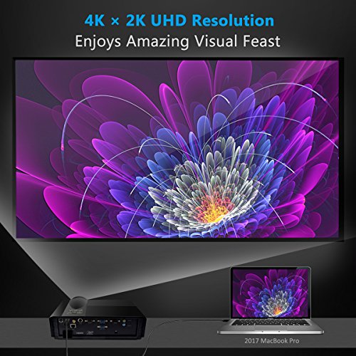 USB C auf HDMI Kabel (6ft/1.8M), CHOETECH USB Typ C zu HDMI Kabel (Thunderbolt 3 kompatibel) 4K 30Hz für Galaxy S8/S8 Plus, 2016 MacBook Pro, 2015 MacBook, ChromeBook Pixel (Nicht für 2017 MacBook Pro/iMac) - 7