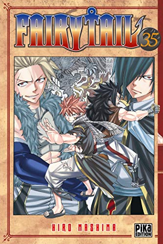 Télécharger Fairy Tail T35 Francais PDF