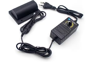 LeTkingok R2838 DC 12V 3000-4800RPM Vibrationsmotor med Dubbelt Huvud, Massagesängmotor Tillbehör Till Massagesoffa (Med strö