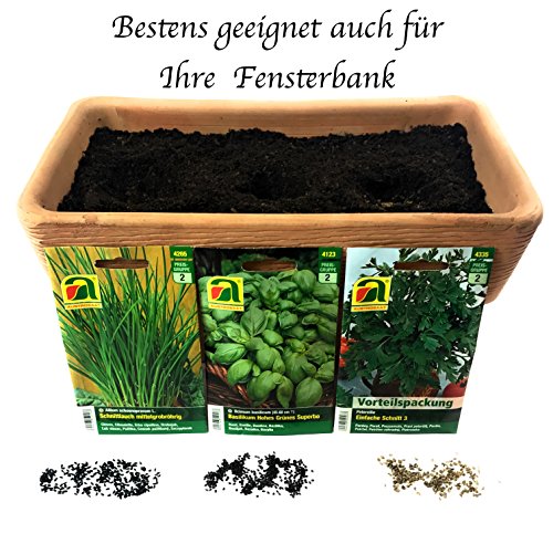 Premium Kräuter Saatgut Sortiment – 10 Sorten – über 60000 Kräutersamen – Vorteilspackung – inklusive praktischem Aufbewahrungskarton - 3