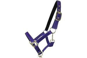 BOW & ARROW EQUESTRIAN Best On Horse Headcollar Halter - Equestrian Padded Pony Cob Classic Nylon Headcollar with Adjustable Buckle Closure - Outdoor Horse Riding Equipment�