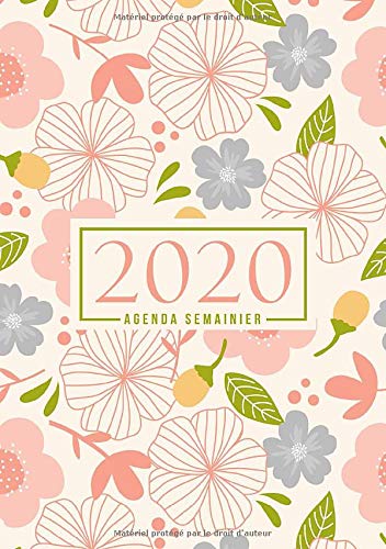 Télécharger Agenda semainier 2020: Du 1er janvier 2020 au 31 décembre 2020 : aperçu hebdomadaire et mensuel, j PDF Ebook En Ligne