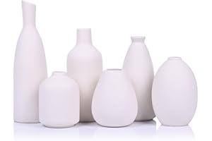 QIANLING Juego de 6 jarrones de cerámica blanca, modernos jarrones bohemios para flores secas, pequeños jarrones blancos para decoración, jarrones pequeños blancos para centros de mesa a granel, mini jarrones