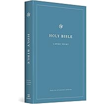 洋書 The HOLY BIBLE English standard version The Holy Bible, English Standard Version (with Cross