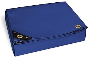 NEMAXX® Telone di copertura premium impermeabile [200x300cm]–Telo camion resistente ai raggi UV [450 g/m²] con occhielli,telo in PVC per giardino,tetto & cantiere–Copertura invernale – Blu – 6m²