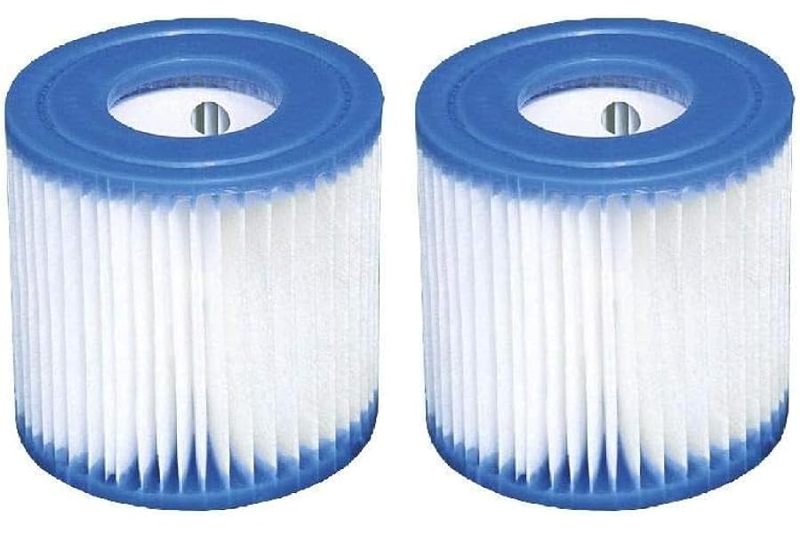 Intex 29007 Filter Cartridge Type H for Filter Pump 1250 L Multi-Colour Single Filter (Paquete de 2)