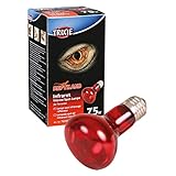 Trixie Infrared Heat Spot Lamp, 75 Watt, 63 x 100 mm