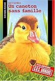 Un caneton sans famille