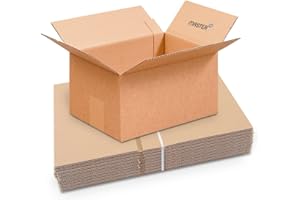 Master'in - Caisse carton simple cannelure - Brune - 250 x 180 x 140 mm - Lot de 20 caisses