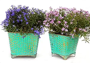 Decoright Indoor Metal Planters, Pots Set of 2 - Rust Free Vintage Metal Flower Pots (Aqua)