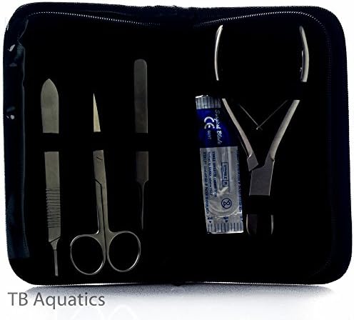 Coral Vue Coral Propagation Kit 4pc