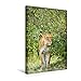 Produktbild Calvendo Premium Textil-Leinwand 30 cm x 45 cm hoch, Stolze Schönheit - Vorsichtig streift Eine Stolze Löwin Durchs Gebüsch | Wandbild, Bild auf Keilrahmen. Masai Mara, Kenia, Afrika Tiere Tiere