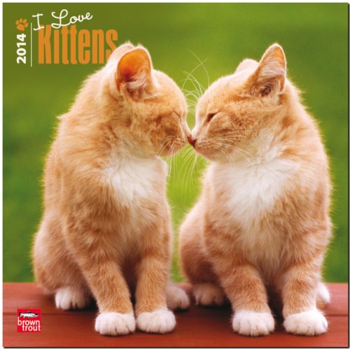 Download Kittens, I Love 2014 Wall