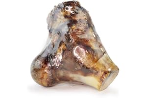JR Pet Products XL Beef Femur Knuckle Bone. Long Lasting Natural Dental Dog Chew