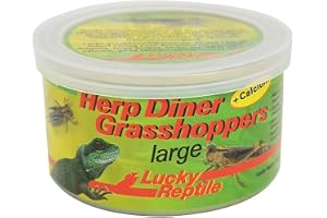 Lucky Reptile Herp Diner Grasshoppers, storlek: stor