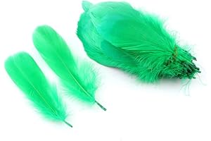 Sowder 100 Piume D'Oca Naturali per Abbigliamento