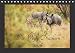 Das Weiße Nashorn (Tischkalender 2016 DIN A5 quer): Das Breitmaulnashorn, auch Weißes Nashorn genannt, ist eines unserer größten Landsäugetiere und ... (Monatskalender, 14 Seiten ) (CALVENDO Tiere) by 
