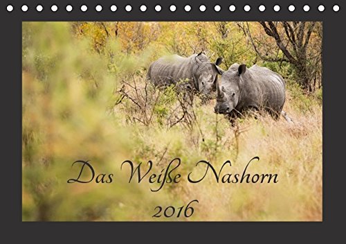 Das Weiße Nashorn (Tischkalender 2016 DIN A5 quer): Das Breitmaulnashorn, auch Weißes Nashorn genannt, ist eines unserer größten Landsäugetiere und ... (Monatskalender, 14 Seiten ) (CALVENDO Tiere)