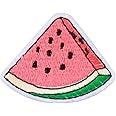 Project Nomad Velcro Hook Patch, Tacti-Cool SUMMER Collection, Watermelon for bag/vest, tech gadgets for kids & adults, for school backpack, for pencil case, for gym bag, gift for men/women 5.5x4.3