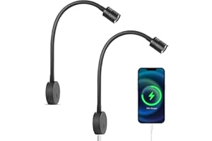 Obeaming Lámpara de lectura LED 12V Junto a la Cama 24V regulable flexible cuello de cisne para Autocaravana Furgoneta Barco Cabina, Equipado Cargador USB & Pulsador Regulador Negro mate 2PCS