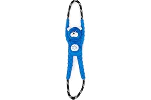 ZippyPaws Chanuka Ściągacz liny, niedźwiedź