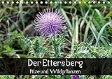 Der Ettersberg - Pilze und Wildpflanzen (Tischkalender 2017 DIN A5 quer): Farbenfrohe Impressionen der einzigartigen Flora des Ettersbergs. (Monatskalender, 14 Seiten ) (CALVENDO Natur) by 