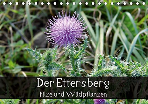 Der Ettersberg - Pilze und Wildpflanzen (Tischkalender 2017 DIN A5 quer): Farbenfrohe Impressionen der einzigartigen Flora des Ettersbergs. (Monatskalender, 14 Seiten ) (CALVENDO Natur)