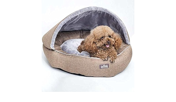 kingpets dog bed