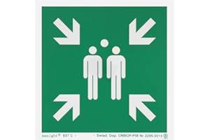 notlok Safety Work - Cartello Punto di Raccolta per Esterni e Interni [ 15 x 15 cm ] | PVC fotoluminescente + adesivi per il montaggio | Punto di raccolta per l'evacuazione