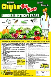 Chipku Sticky Insect Trap (Yellow, 200 x300 mm, Large Size) - Pack of 10