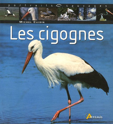 couverture de : Les cigognes