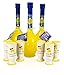 Produktbild Limoncello Gioia Luisa Der Limoncello di Sorrento IGP (N ° 3 500 ml Flaschen-handgefertigte Terracotta 6 Gläser)