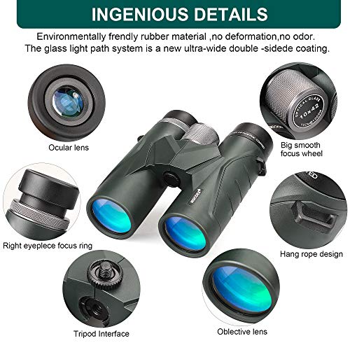 NOCOEX Binoculares 10x42 para Adultos, Prismáticos Profesionales HD Compactos para Observación de Aves, Viajes, Observación de Estrellas, Camping, Conciertos, Visitas Turísticas