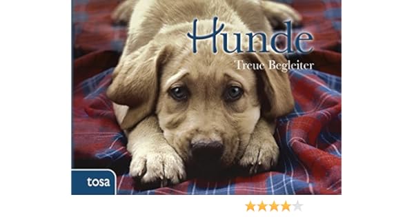 Get Sprueche treue hund Free