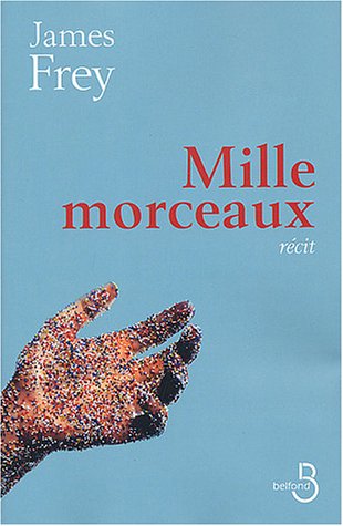 couverture de : Mille morceaux