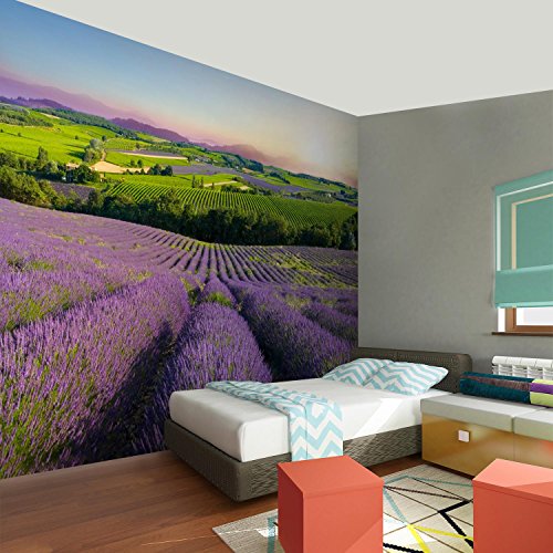 Fototapete Provence 308 x 220 cm – Vliestapete – Wandtapete – Vlies Phototapete – Wand – Wandbilder XXL – !!! 100% MADE IN GERMANY !!! Runa Tapete 9022010b - 5