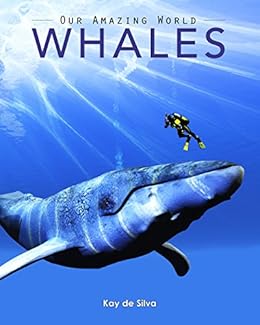 Whales Amazing Pictures Amp Fun Facts On Animals In Nature