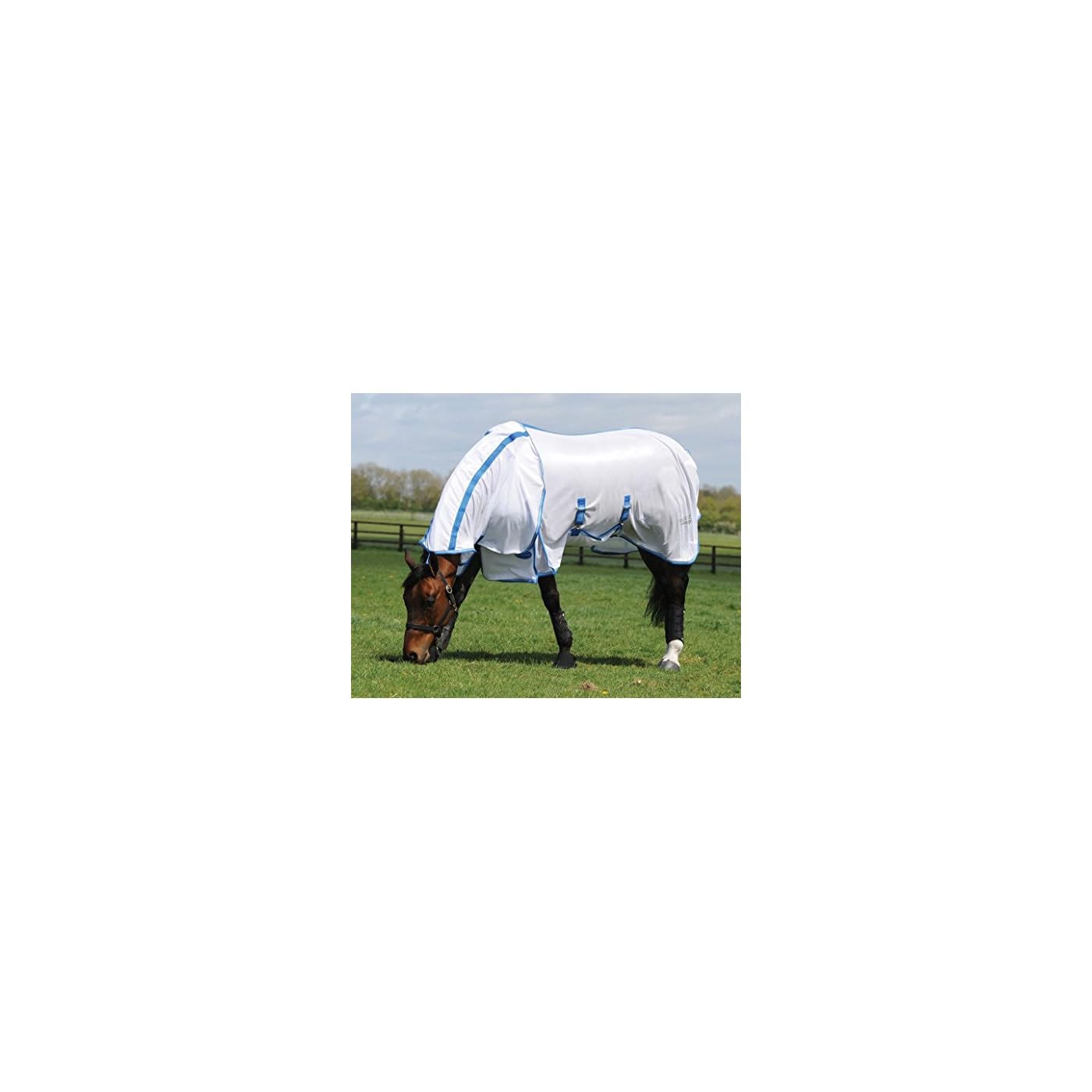 Horse ‘n’ Pony